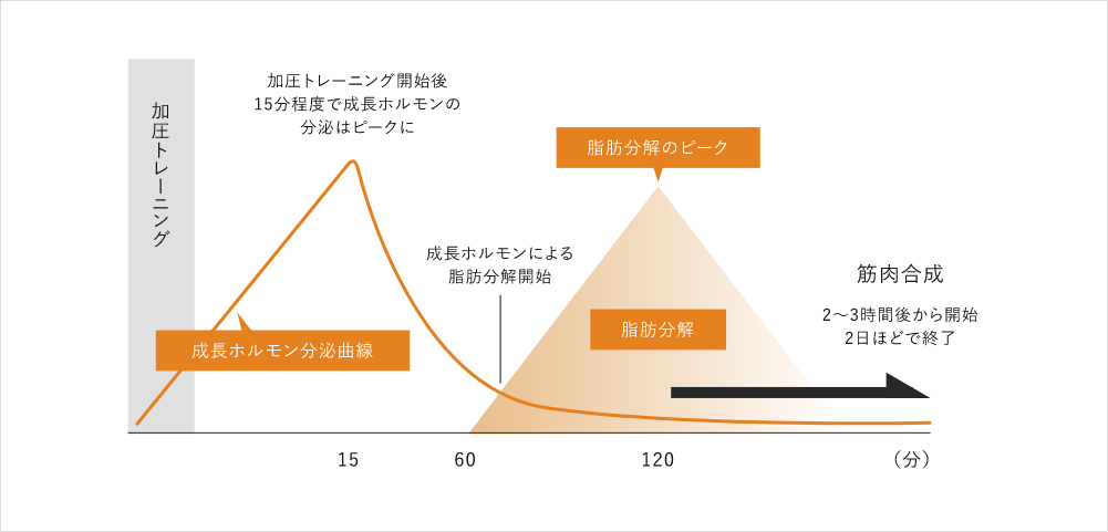 加圧トレーニンググラフ