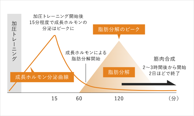 加圧トレーニンググラフ